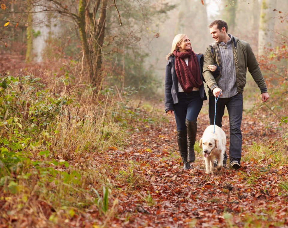 couple-walking-their-dog-in-autumn-i-screen