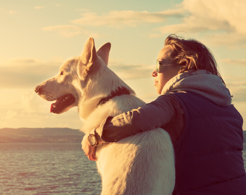 woman-and-dog-soaking-in-sun-i-screen