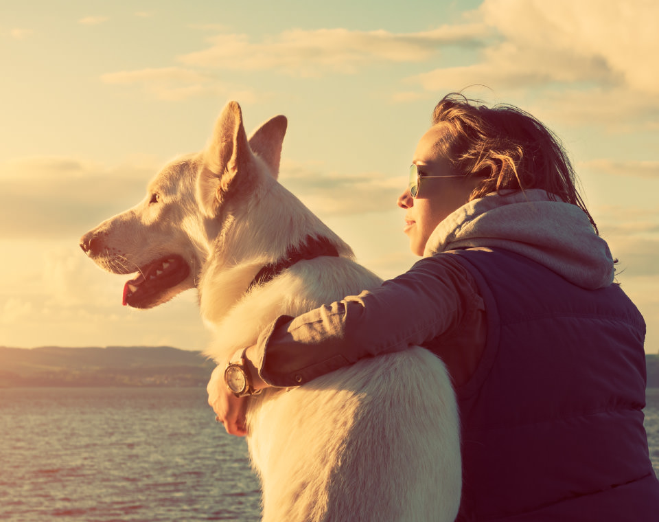 woman-an-dog-enjoying-the-sunlight-i-screen