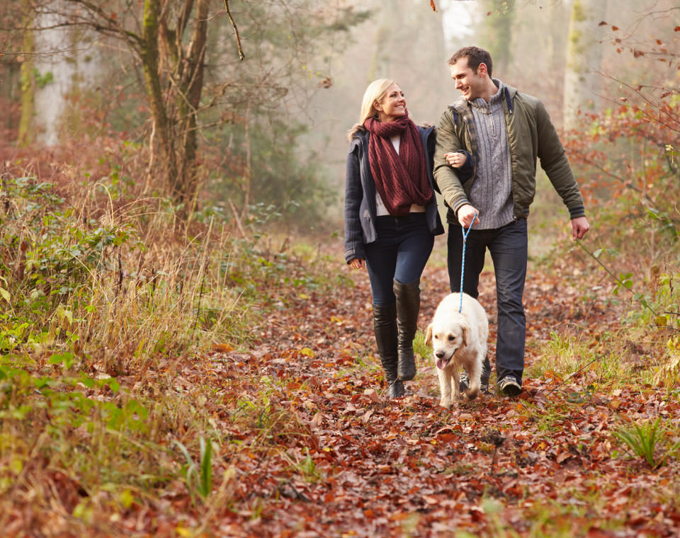 happy-couple-walking-their-dog-in-autumn-forest-i-screen