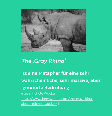 blog-de-20211006-code-red-the-gray-rhino