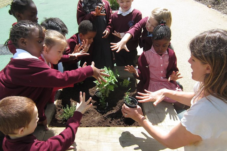 Hitherfield Primary in London learn how to plant out herbs