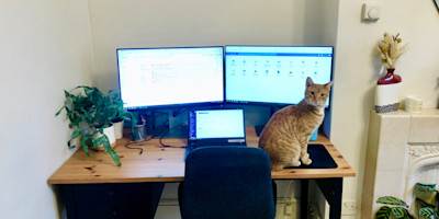 Alex B's desk working from home