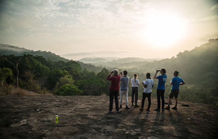 Some of the Bulb team looking out over the misty Gola rainforest