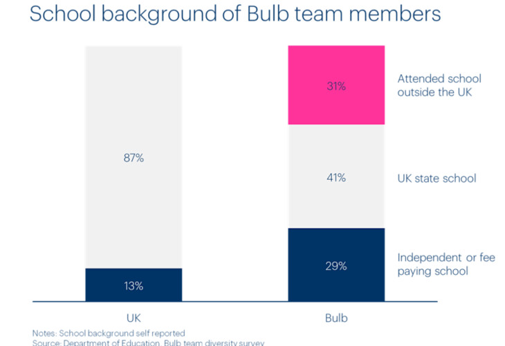 Chart of Bulb team members by school background.
