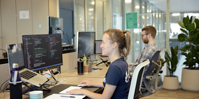 Ellie, a software engineer, is working at her computer