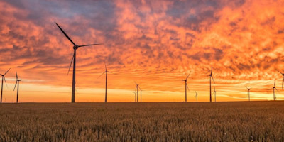Windmills on an open field during sunset