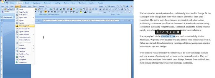 Microsoft Word (left) and Medium (right) text editor