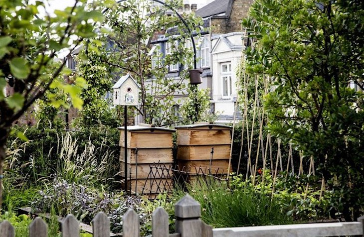 Two beehives in the garden of Ham Yard Hotel