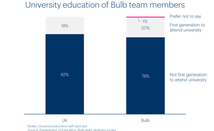 Chart of Bulb team members by university education