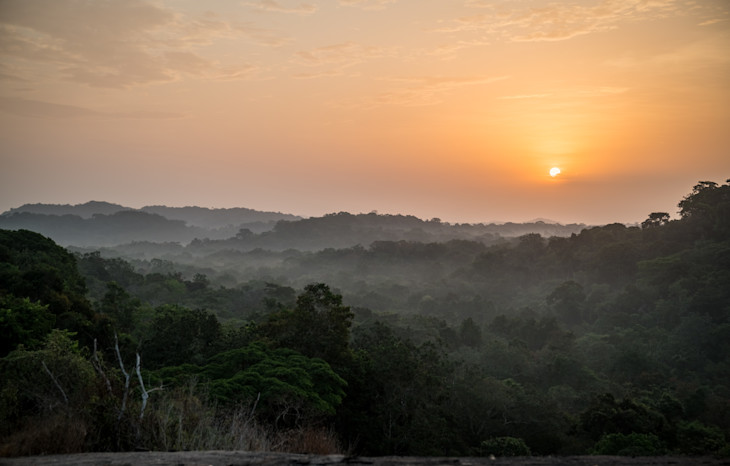 Creating a National Park in Gola gave the rainforest protected status