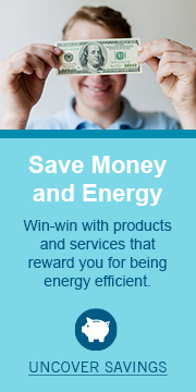 Save Money and Energy. win-win with products and services that reward you for being energy efficient. Uncover Savings