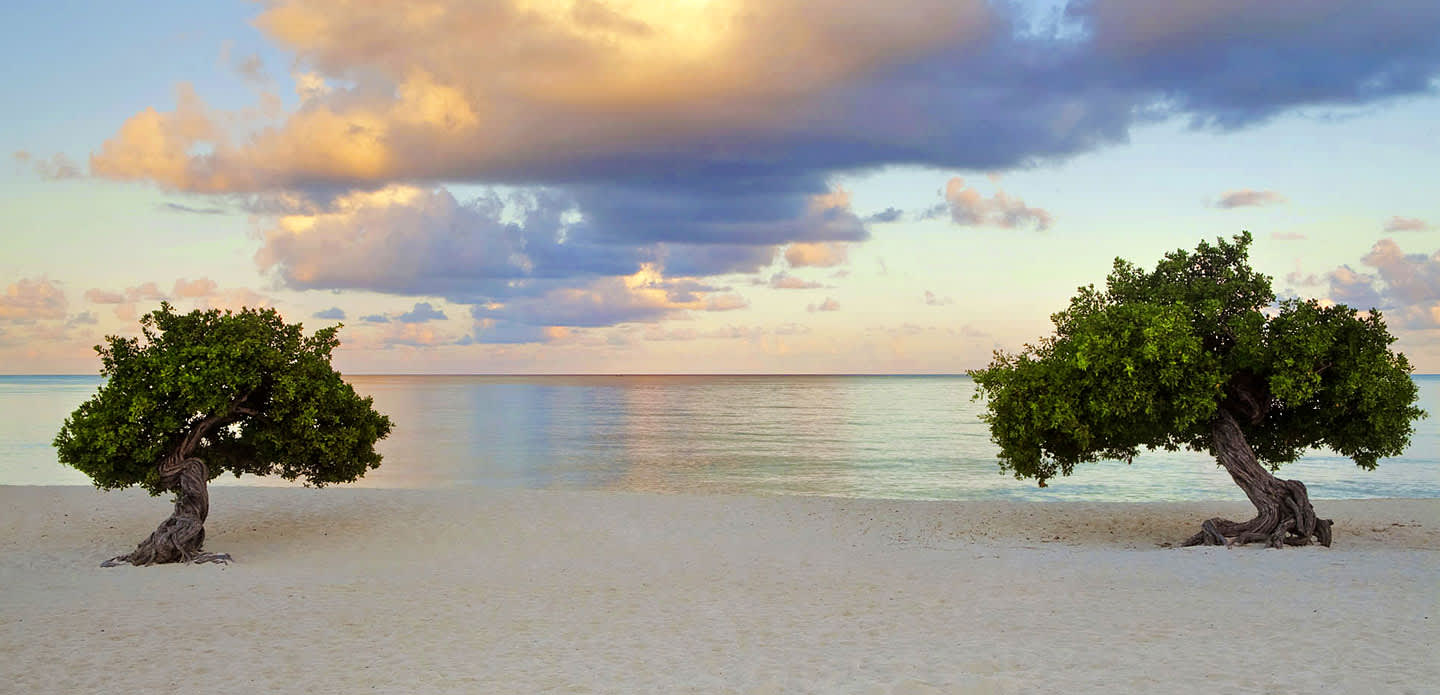 La deg sjarmere av de vakre strendene på Aruba med TUI