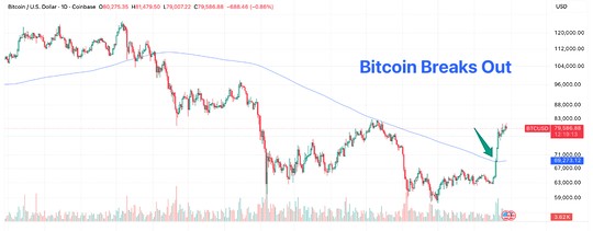 Breaking the Bitcoin Bear