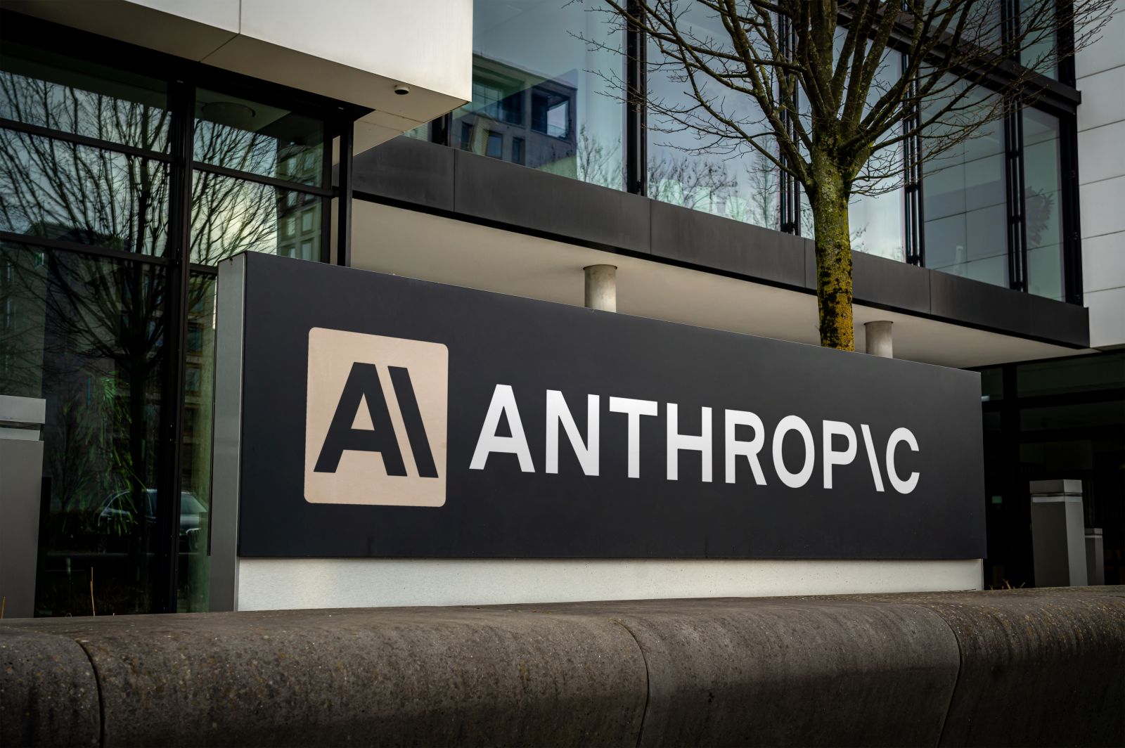 Anthropic (ANT): Brand New IPO Details