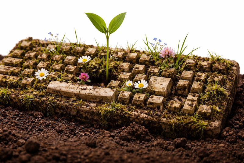 Touch Grass, Get Rich