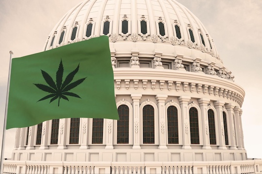 THC Gets Smoked by Shutdown Bill
