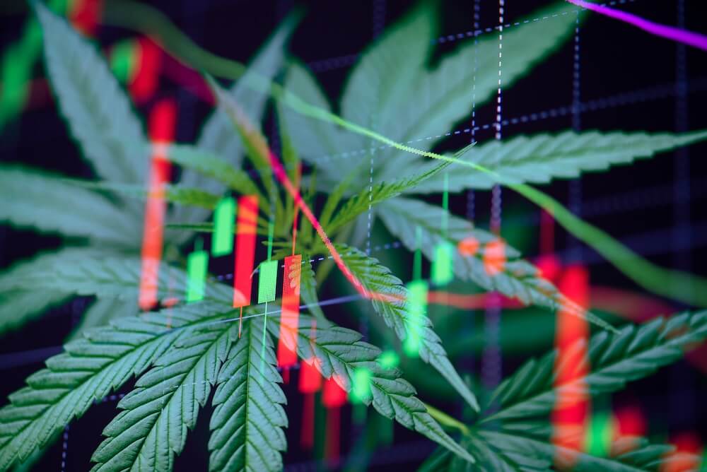 Pot Stocks Not So High Now!