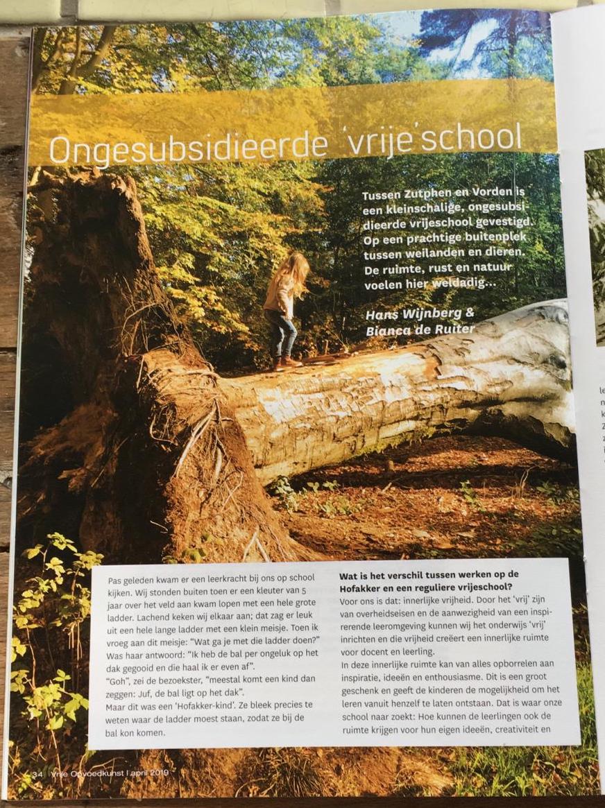 artikel-p1