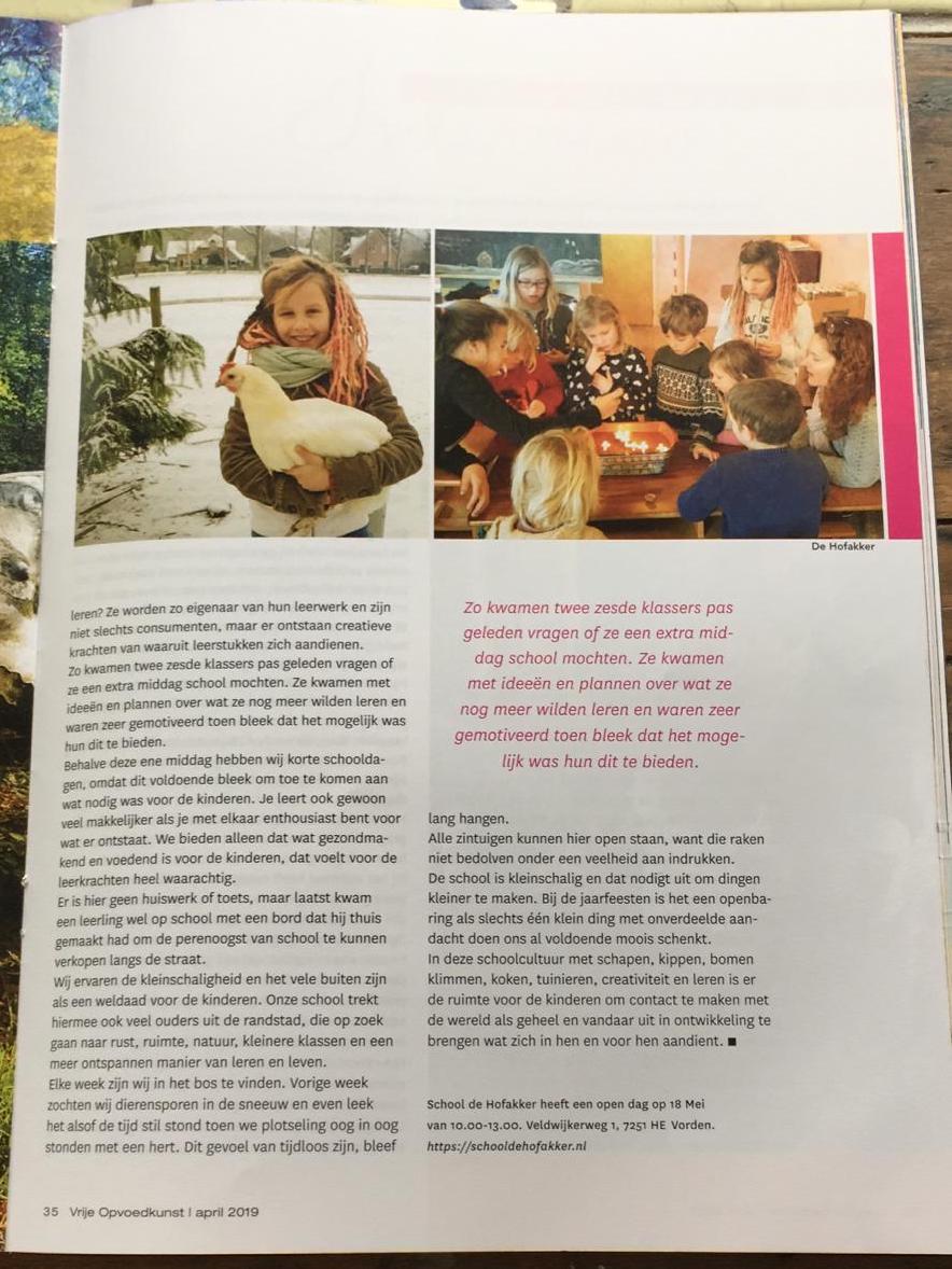 artikel-p2