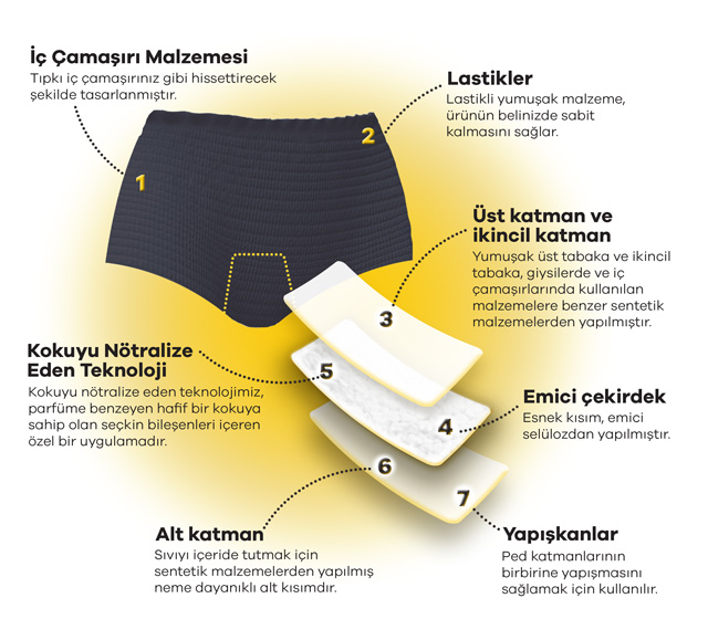 Underwear-Layers-View