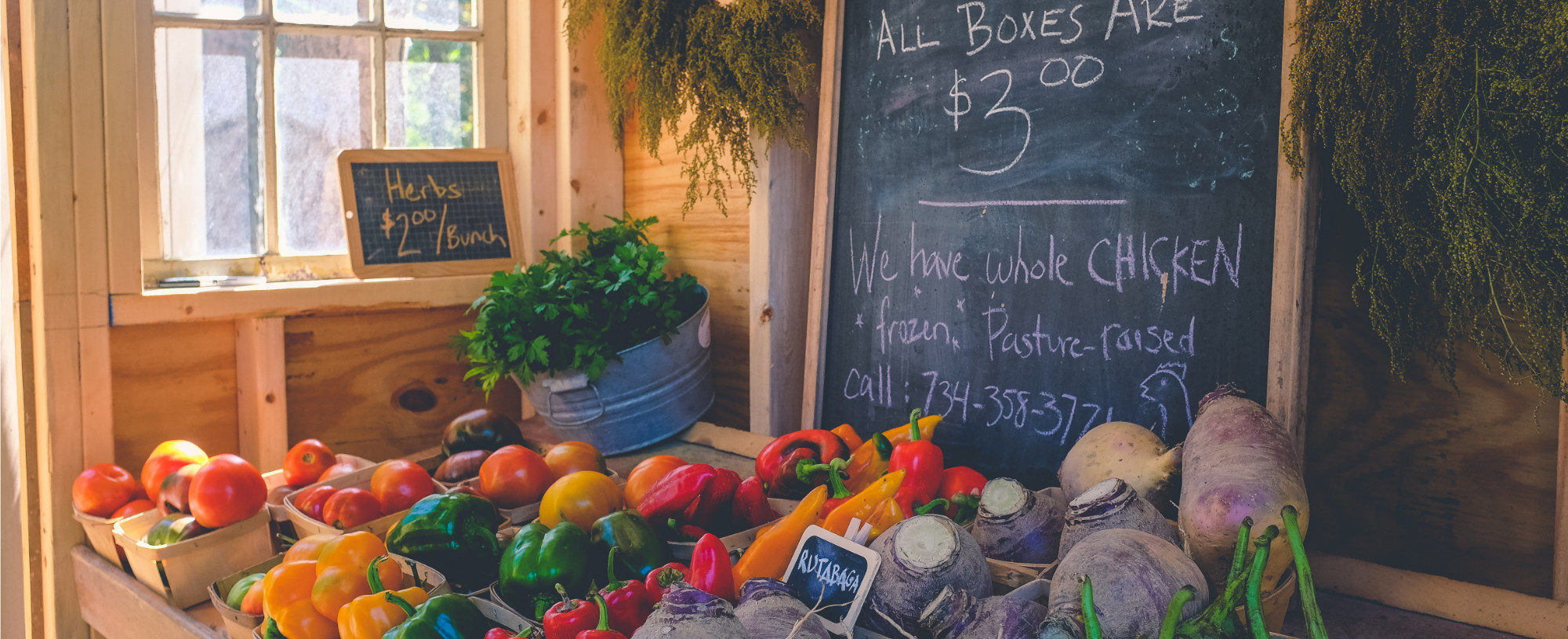 blog pricing 2