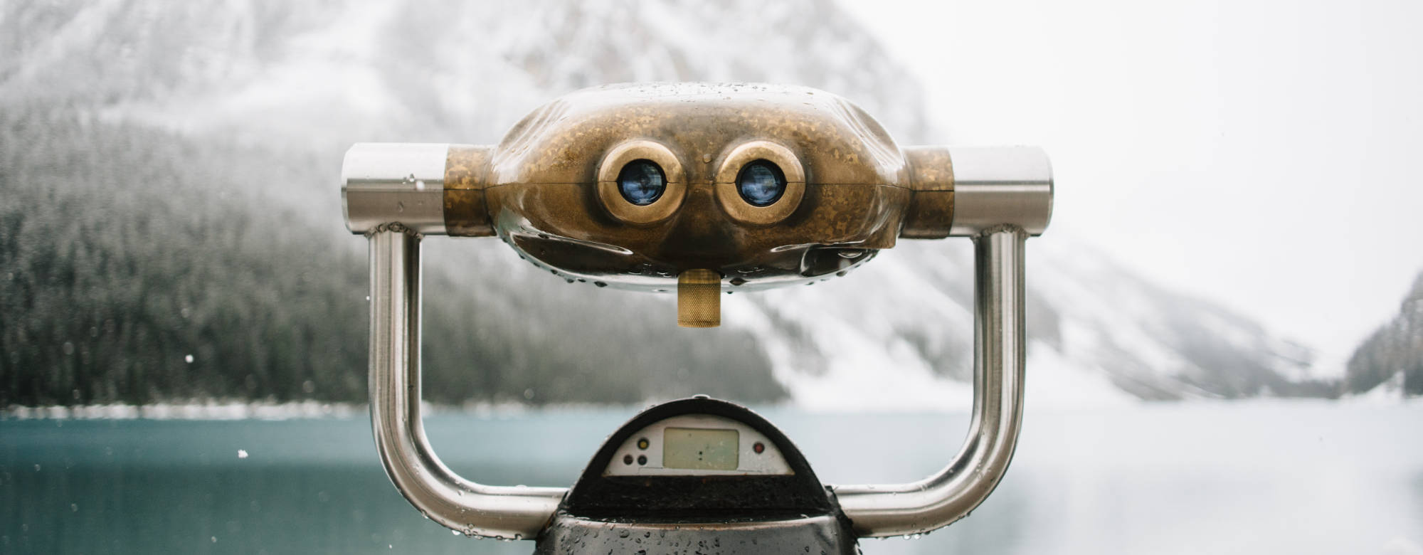 lookfor blog community