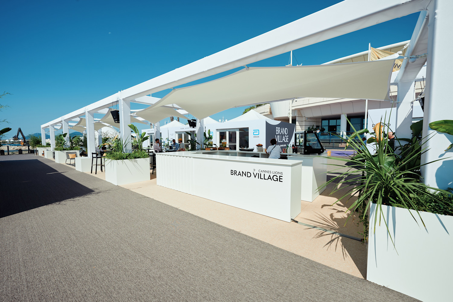 Cannes Lions Curated