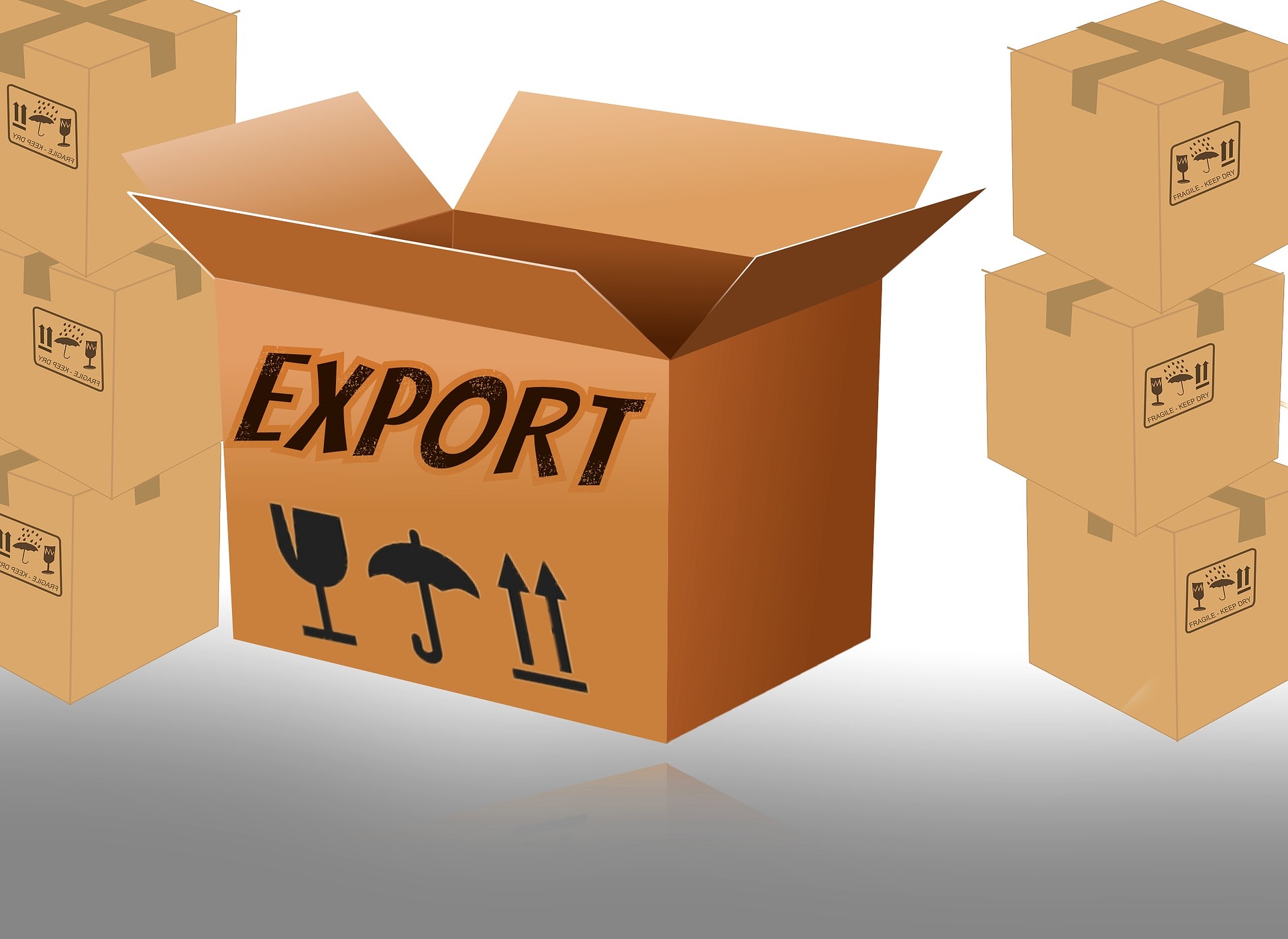 Got your first export order? Here's what you need to do next I Export Procedure