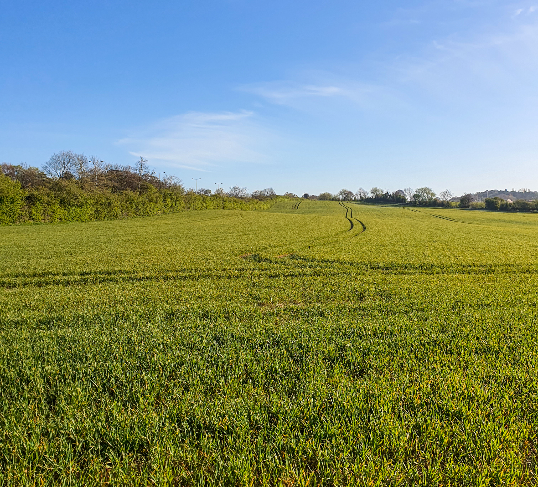 IS AI THE FUTURE OF GREEN FARMING?