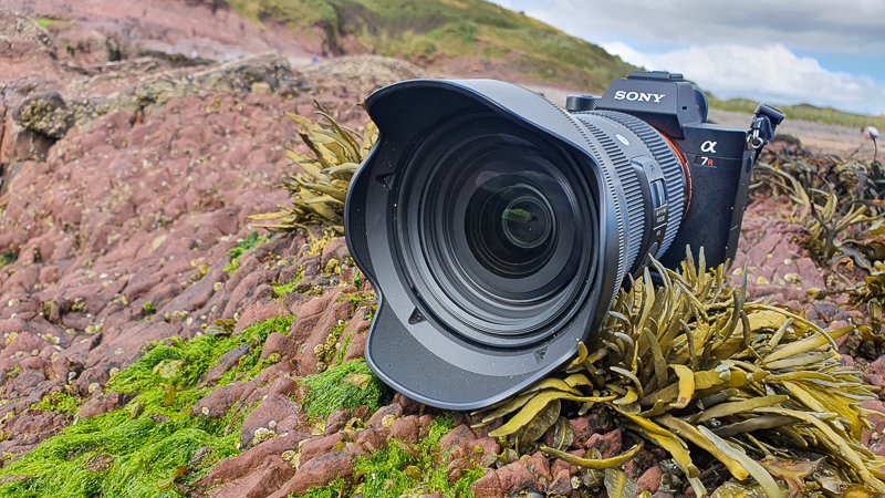 HOW TO AVOID LOSING YOUR PHOTOS
