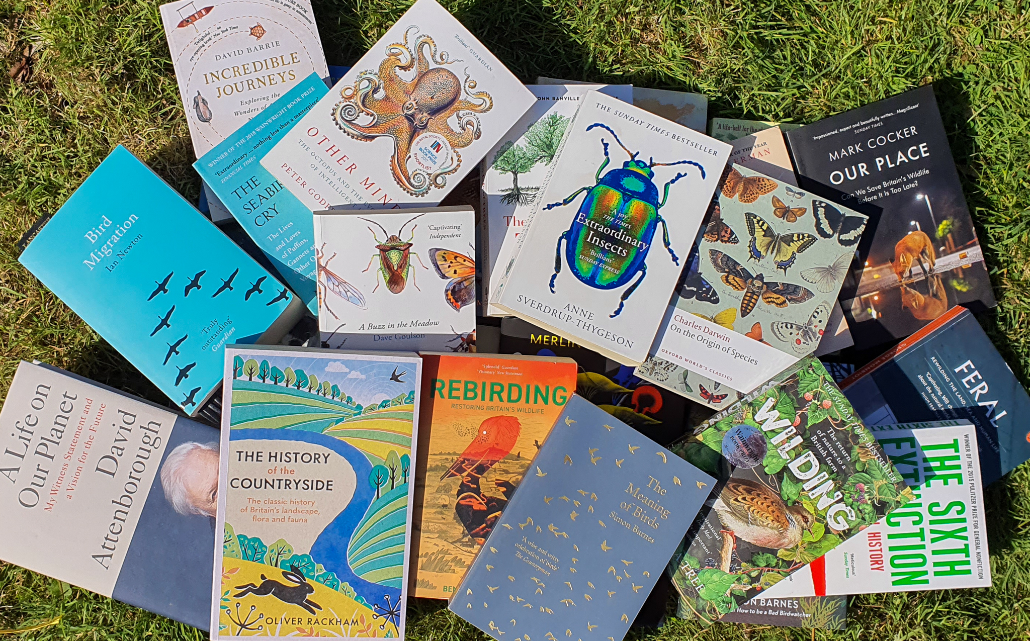 HOW TO READ MORE (NATURE) BOOKS