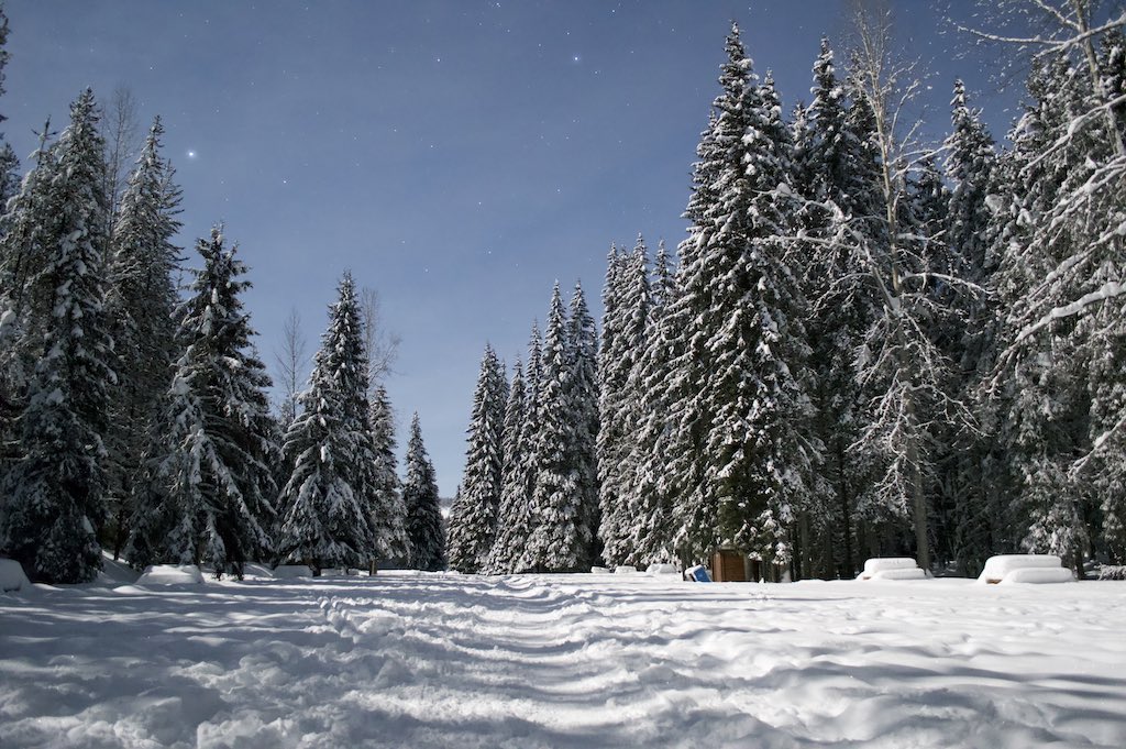 Nancy Greene Park - Winter - Moonlight - Resized