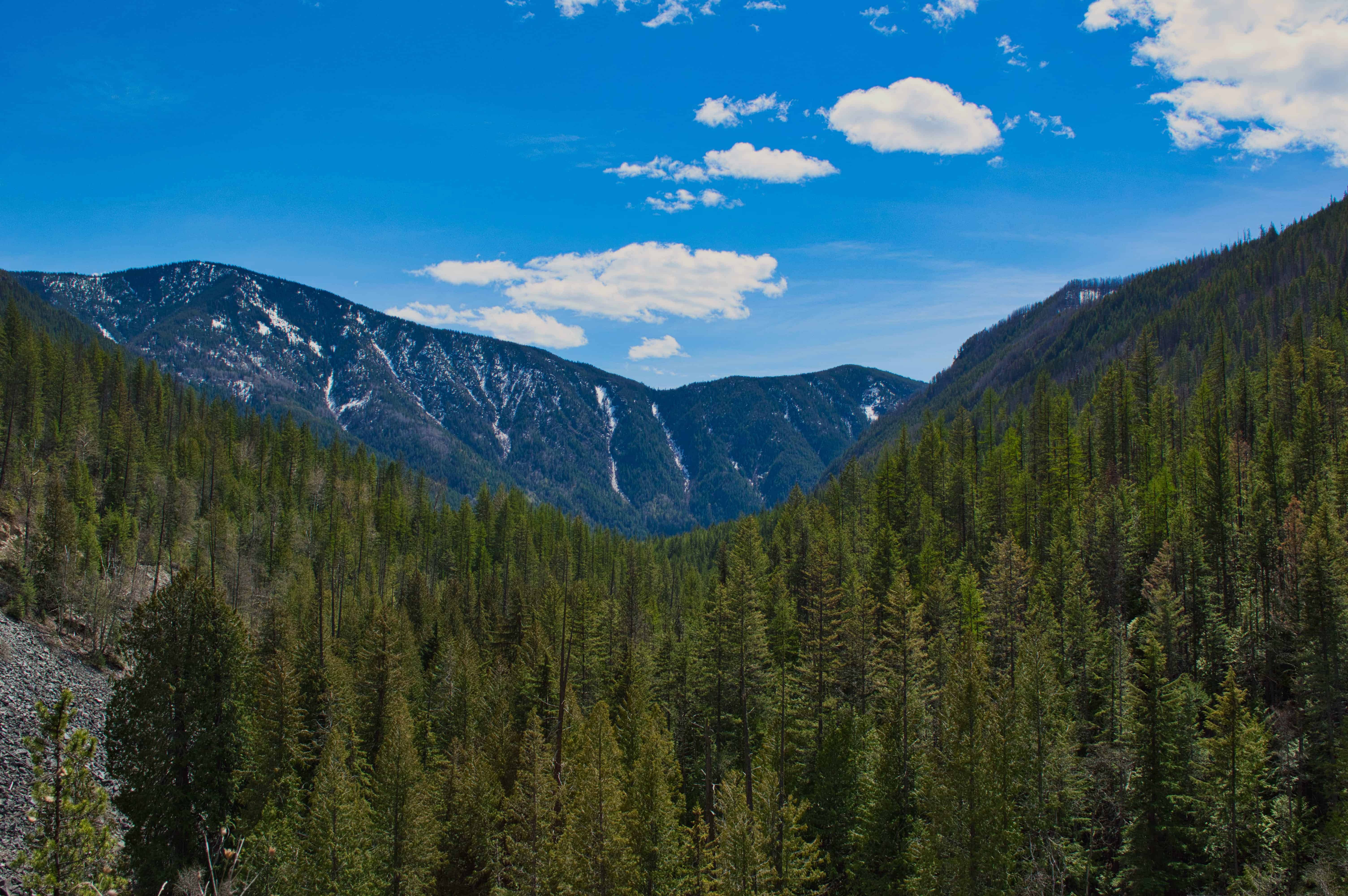 View near Paulson Bridge
