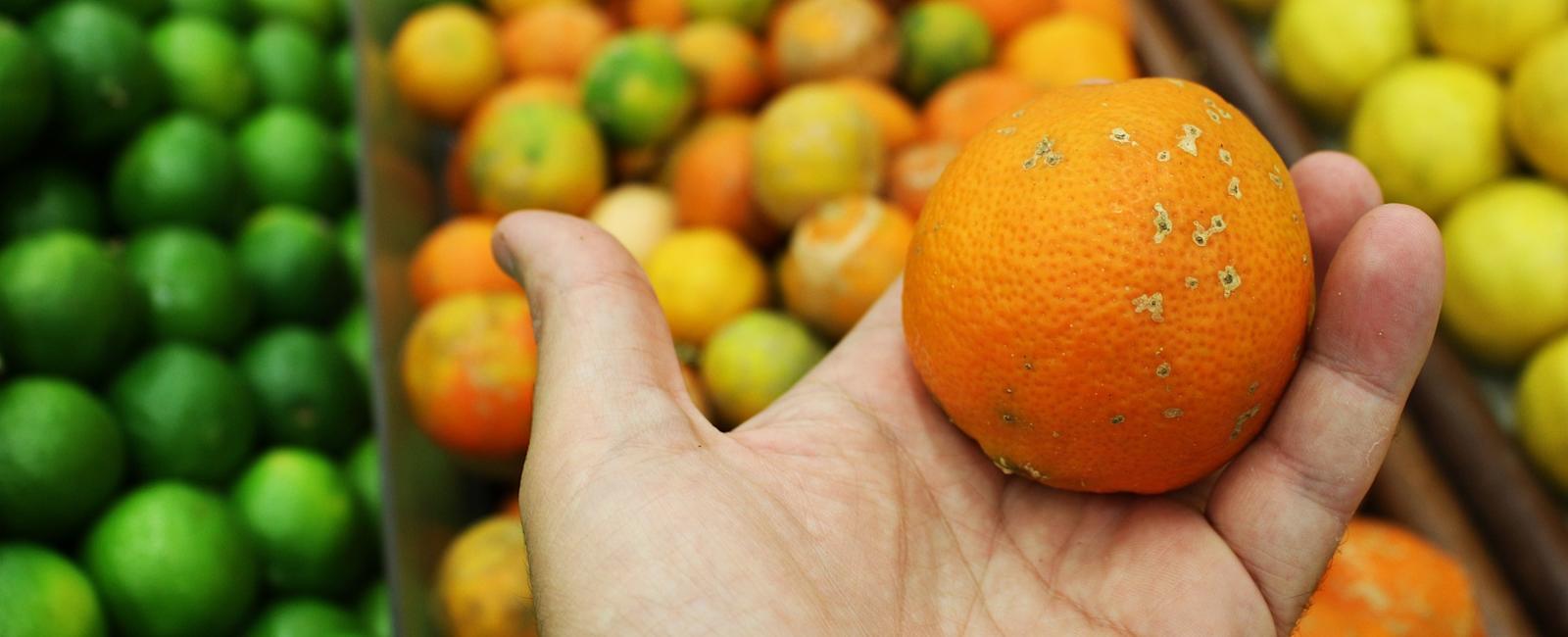 Como elevar os insights da sua pesquisa qualitativa a partir de pessoas