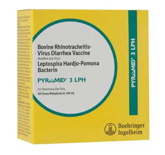 pyramid-3-lph-50-dose