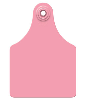 Allflex Global Maxi, Blank, 25 Count (Pink)