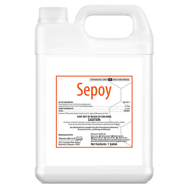 Sepoy-jug