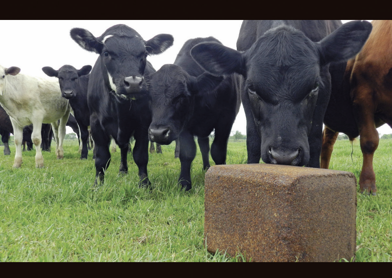 SweetLix Rumensin Block