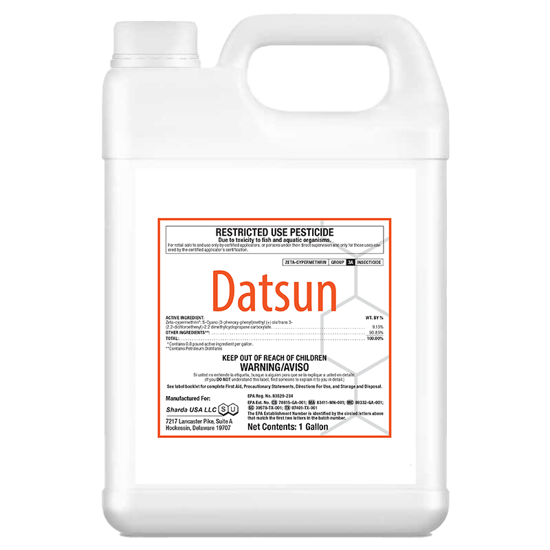 Datsun-Jug