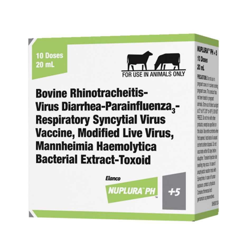 Screenshot 2025-07-31 at 5.25.33 PM