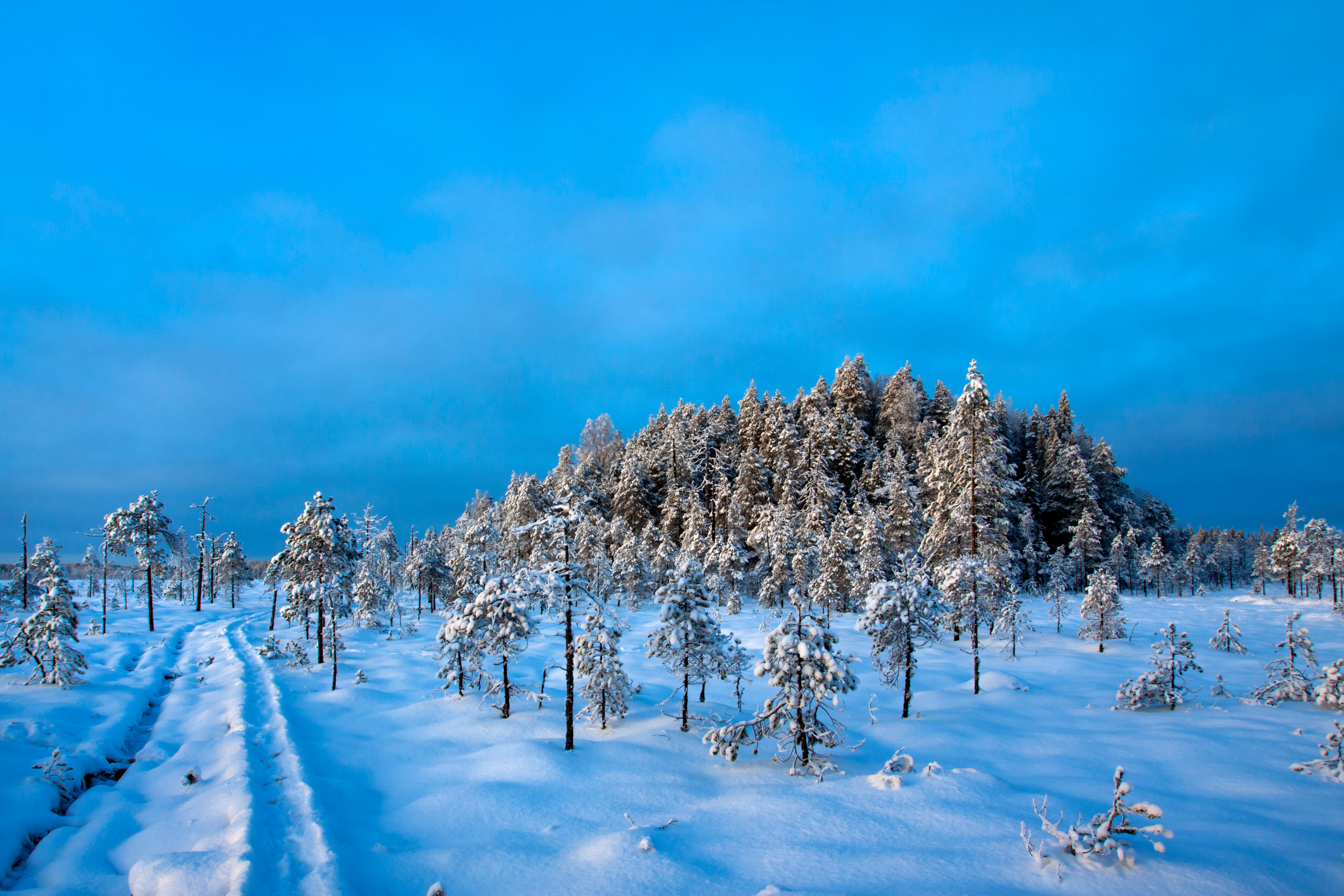 Pyhä-Häkin kansallispuistossa vanhat metsät vuorottelevat soiden kanssa. Polku laskeutuu Masto- mäeltä Riihinevalle.