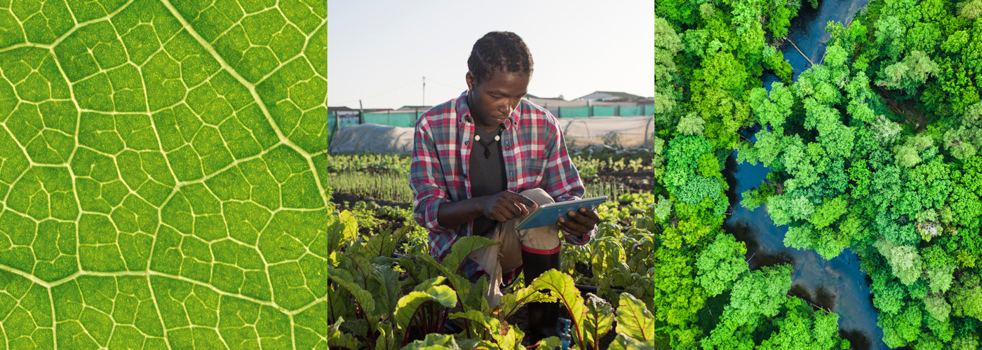 Climate & agriculture