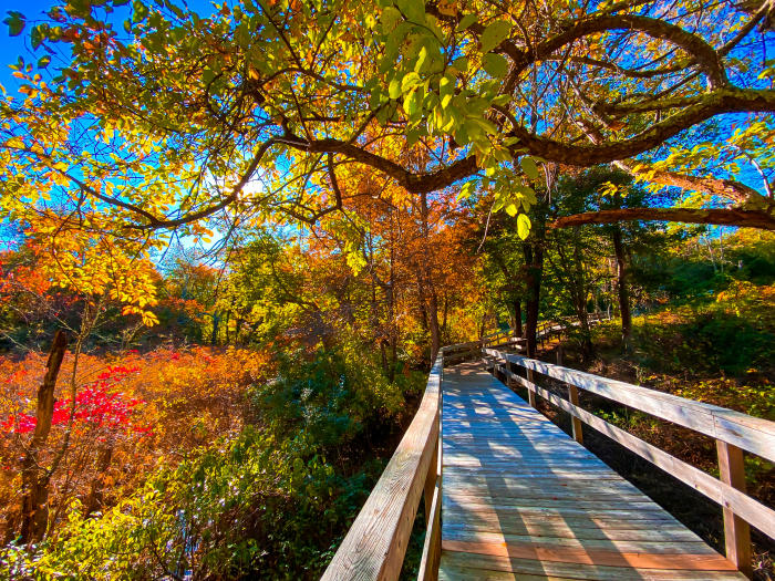Autumn Escapes: Best Long Island Weekend Getaways Close to Home