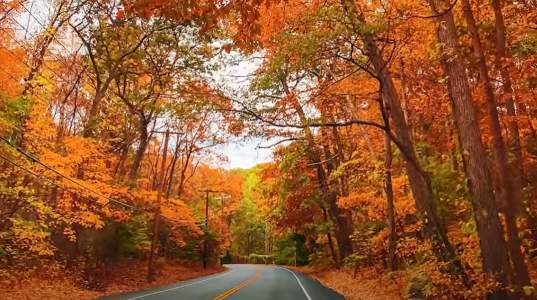 Fall in Love with Long Island: Best Autumn Activities Near Your New Home