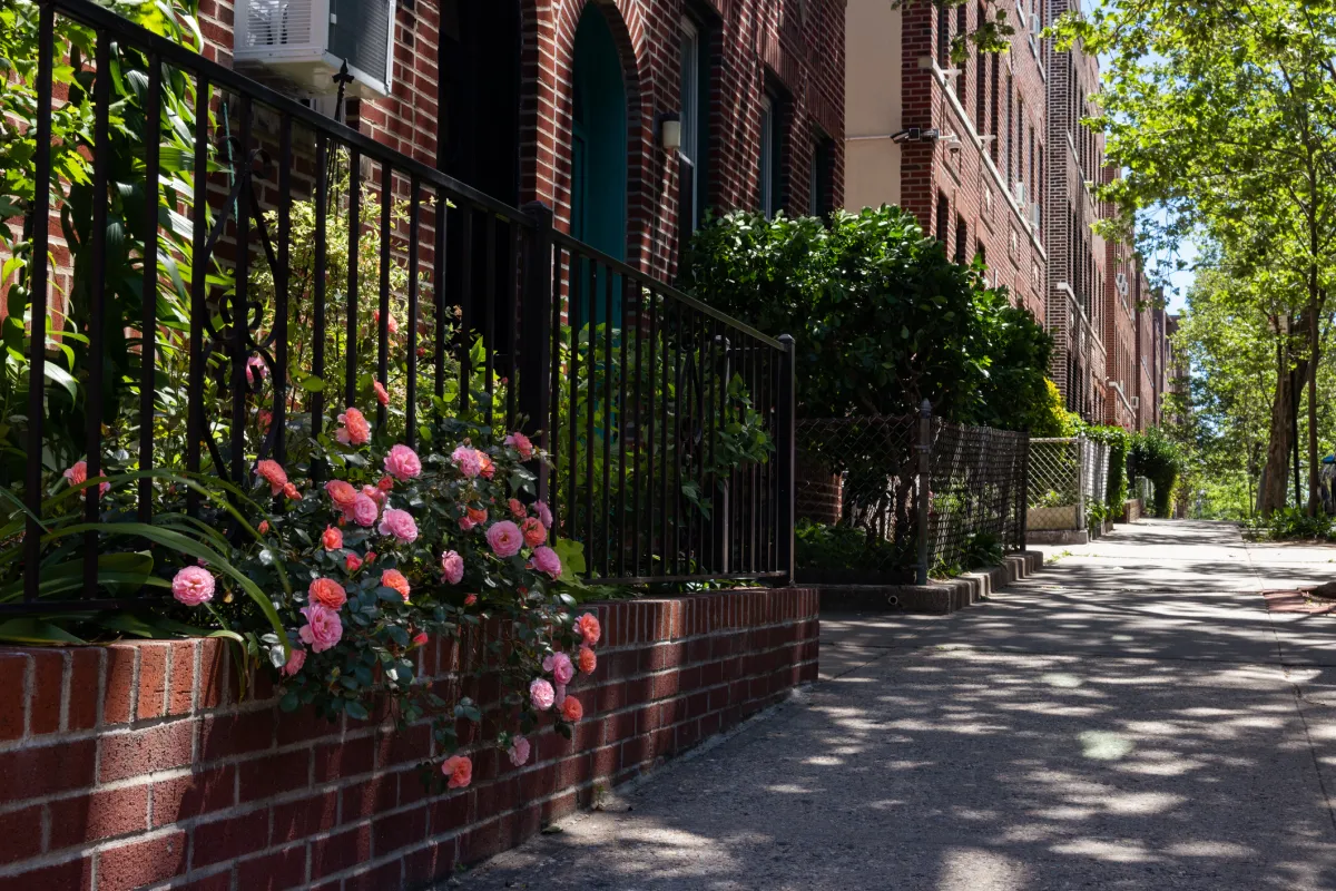 Ridgewood, Long Island City and Sunnyside among NYC’s top neighborhoods for 2025: report