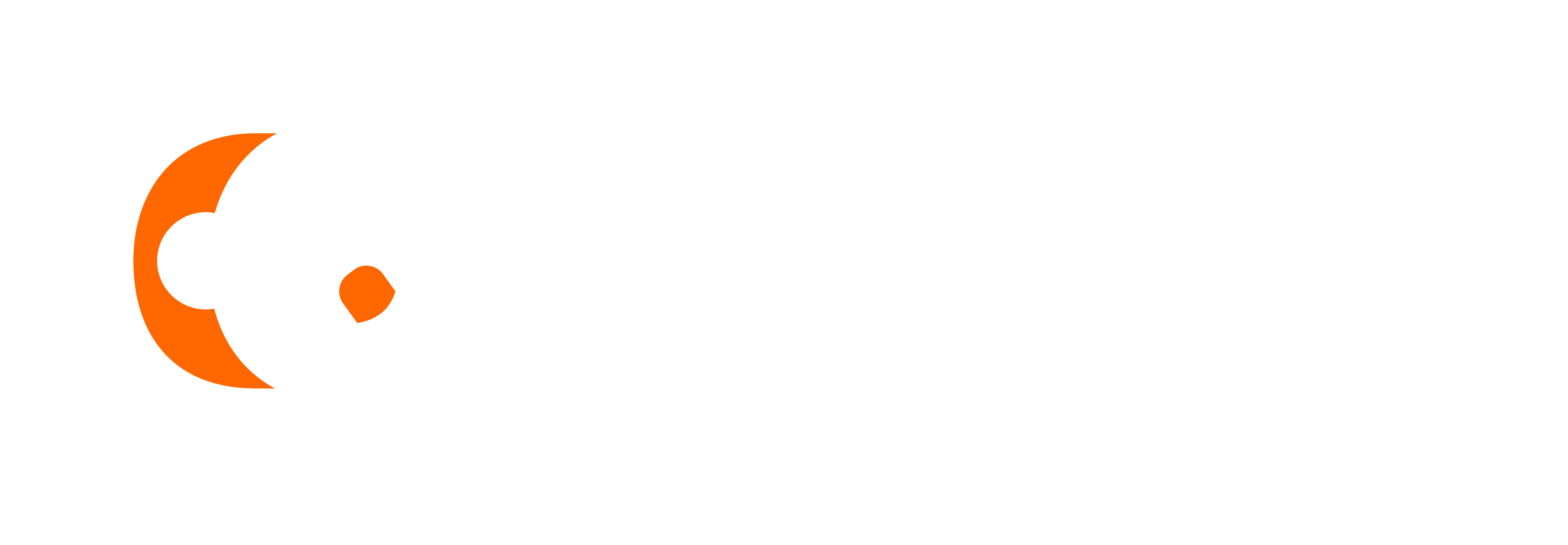 Software Logo
