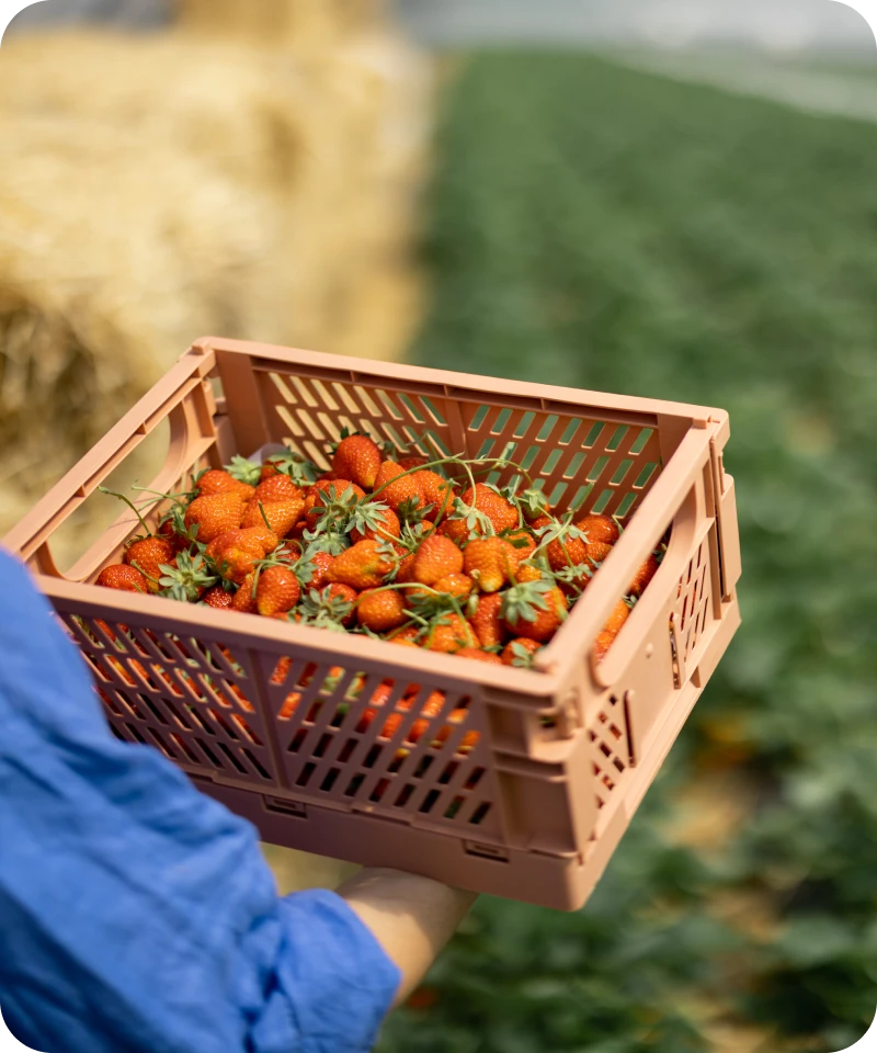 //images.ctfassets.net/vr3zuj968faf/2UeTWfQc6JVWZwY8TKqf7M/93475febfb5f304cc410f11fb281bb44/sub-agro-credito-simple.webp