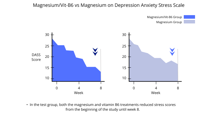 Magnesium/Vit-B6 vs Magnesium on Depression Anxiety Stress Scale