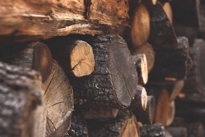 holzart-bauvorhaben.jpeg
